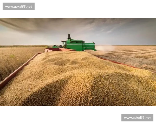 以合作共赢为核心推动多方协同发展的创新实践新路径探索与展望