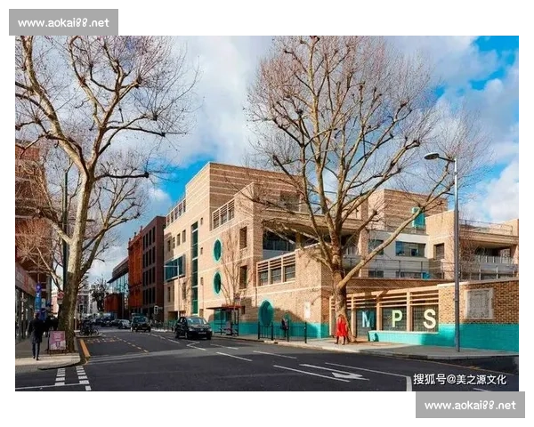 视野控制在现代环境下的应用策略与优化研究探索